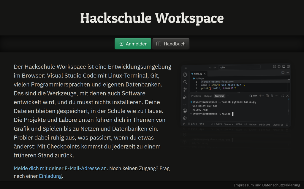 Die Startseite des Workspace mit einem kurzen Text, daneben VS Code mit einem kleinen Python-Programm im Terminal