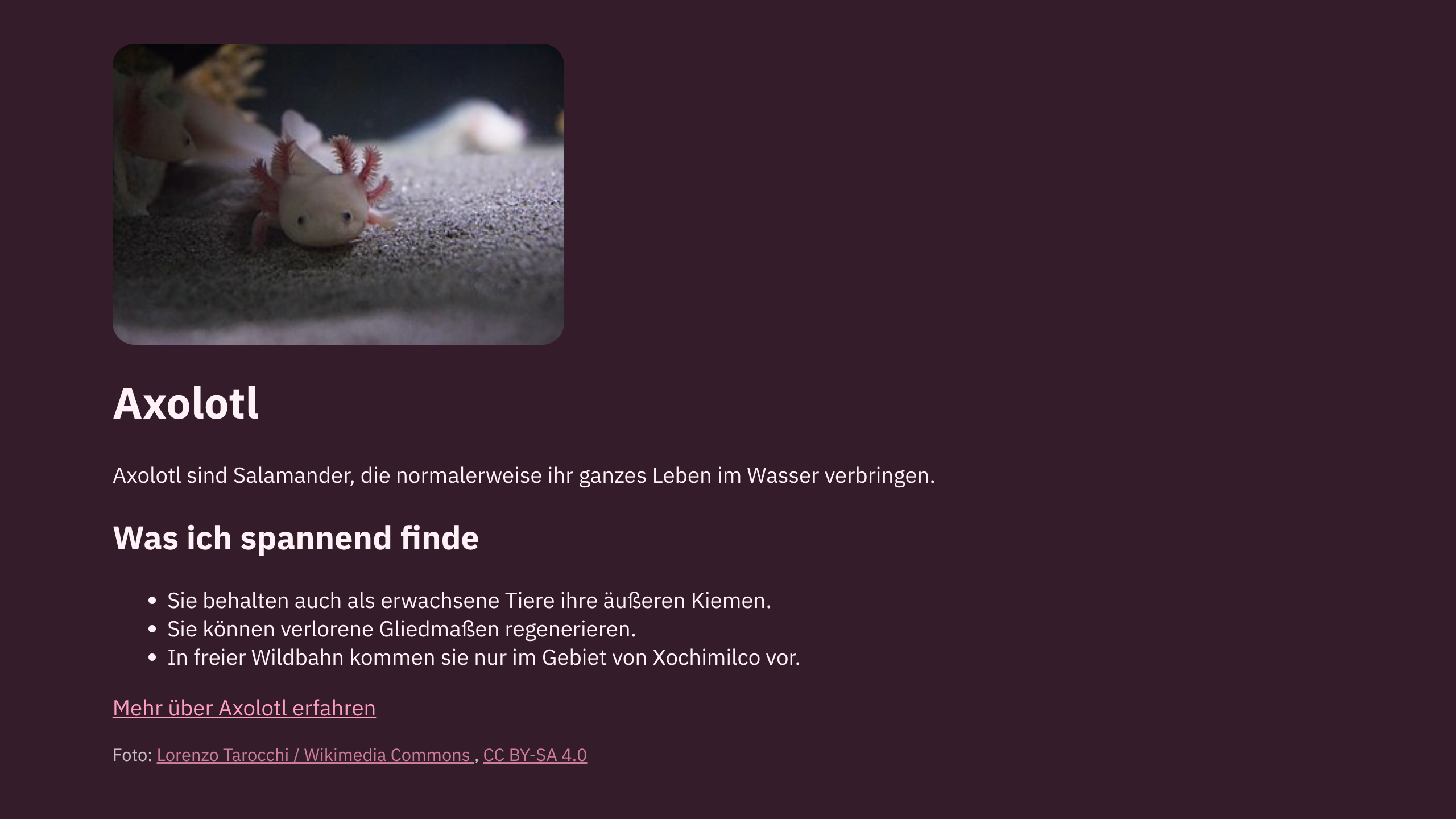 Die Axolotl-Webseite hat jetzt einen dunklen grünlichen Hintergrund, helle Schrift, türkisfarbene Links und ein Bild mit abgerundeten Ecken.