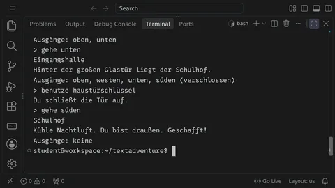 Ein Terminal, in dem das Textadventure »Nachts in der Schule« läuft: die Spielerin schließt mit dem Haustürschlüssel die Glastür auf und steht auf dem Schulhof