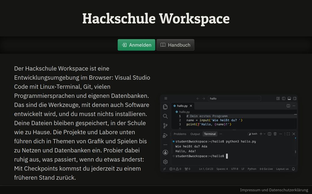 Die Startseite des Workspace mit einem kurzen Text, daneben VS Code mit einem kleinen Python-Programm im Terminal
