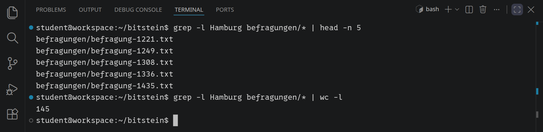 Fünf Dateinamen von befragungen/befragung-1221.txt bis befragung-1435.txt, darunter 145: So viele Befragungen erwähnen Hamburg.