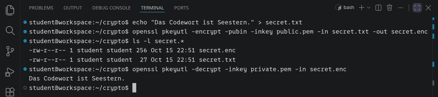 Die Nachricht secret.txt hat 27 Bytes, verschlüsselt sind es 256. openssl pkeyutl -decrypt mit dem privaten Schlüssel gibt wieder »Das Codewort ist Seestern.« aus.