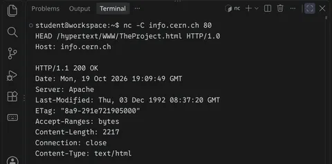 Ein Terminal, in dem nc eine HTTP-Anfrage an info.cern.ch schickt, darunter die Antwort des Servers