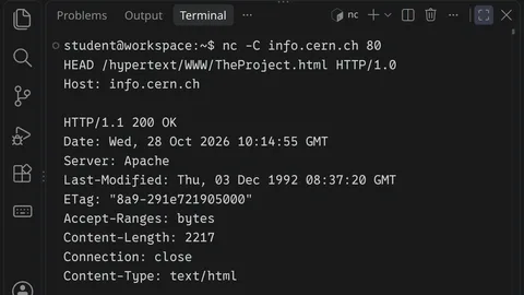 Ein Terminal, in dem nc eine HTTP-Anfrage an info.cern.ch schickt, darunter die Antwort des Servers
