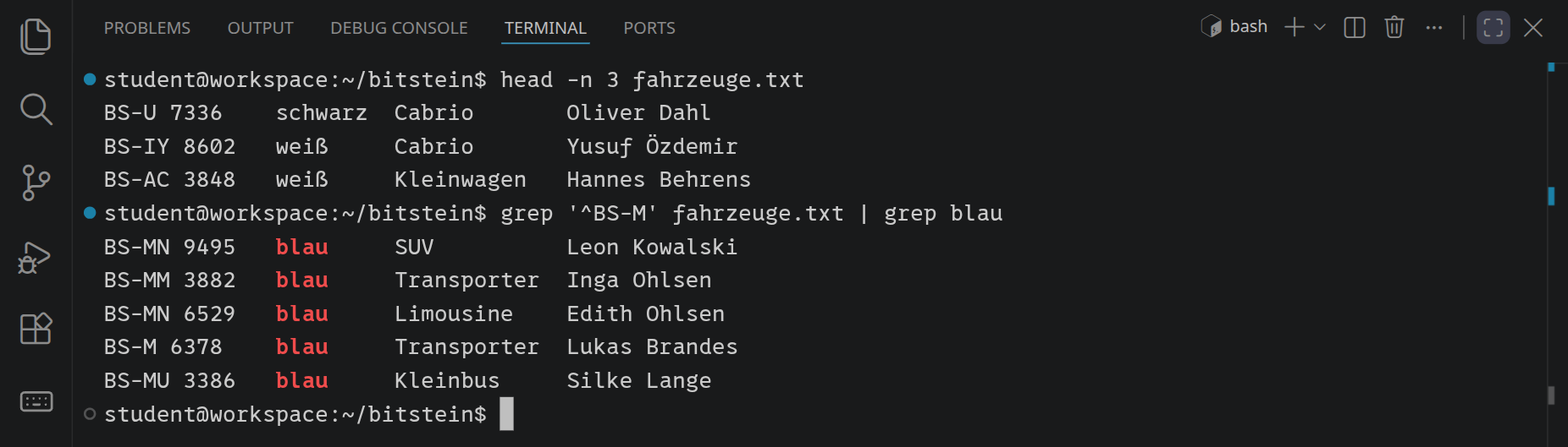 Die ersten drei Autos aus fahrzeuge.txt, darunter fünf blaue Autos mit Kennzeichen BS-M und ihren Besitzern.