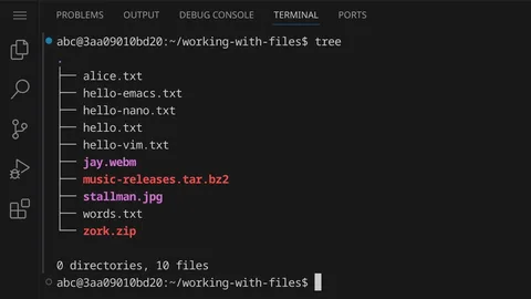 Ein Terminal mit der Ausgabe von tree: zehn Dateien im Ordner working-with-files