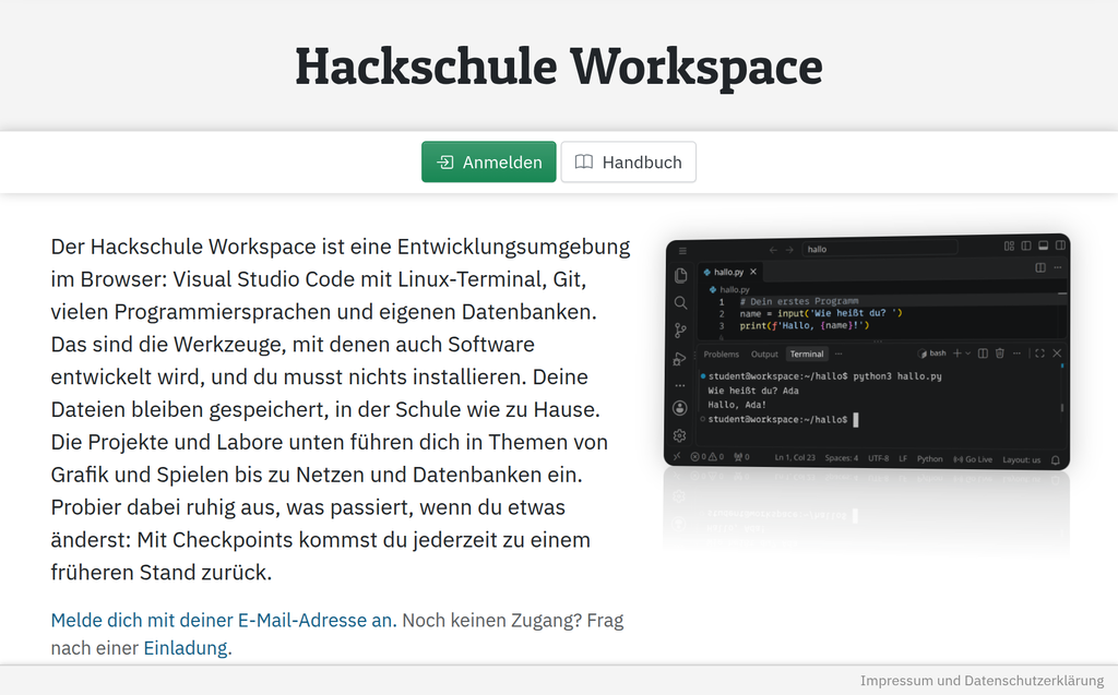 Die Startseite des Workspace mit einem kurzen Text, daneben VS Code mit einem kleinen Python-Programm im Terminal