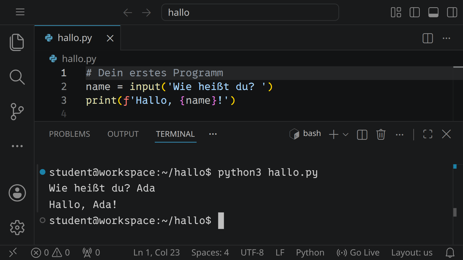 Der Workspace: oben im Editor ein kurzes Programm, das nach dem Namen fragt, unten im Terminal sein Lauf: Hallo, Ada!
