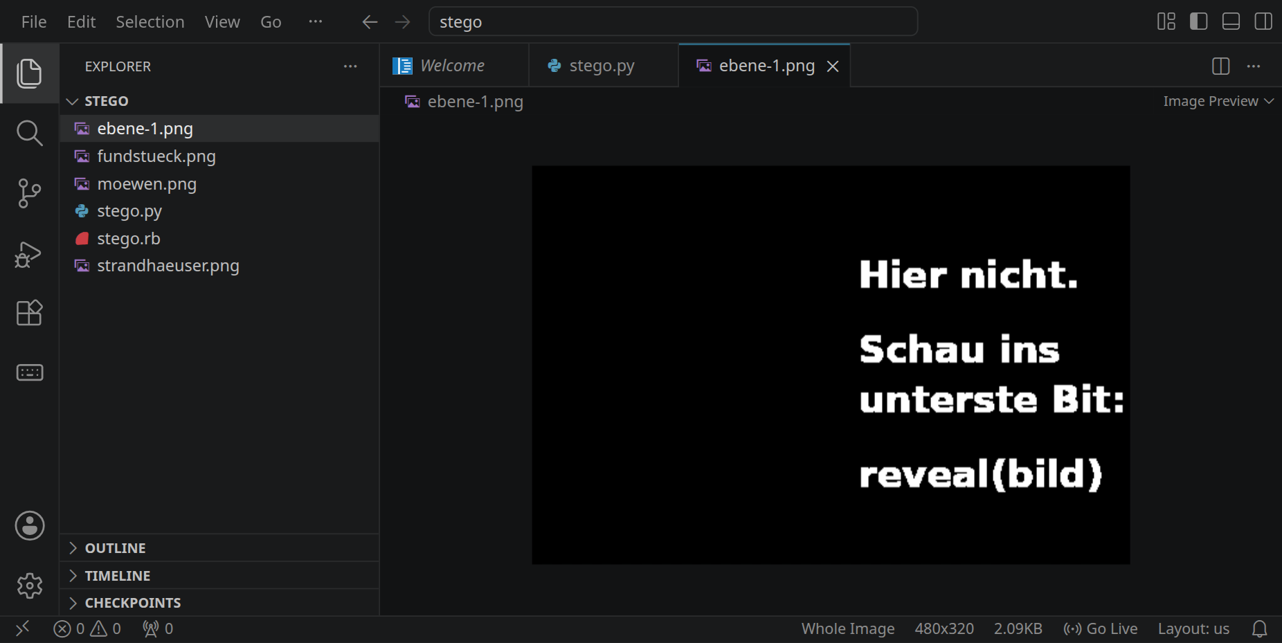 Die Datei ebene-1.png in Visual Studio Code: auf Schwarz in weißer Schrift »Hier nicht. Schau ins unterste Bit: reveal(bild)«.