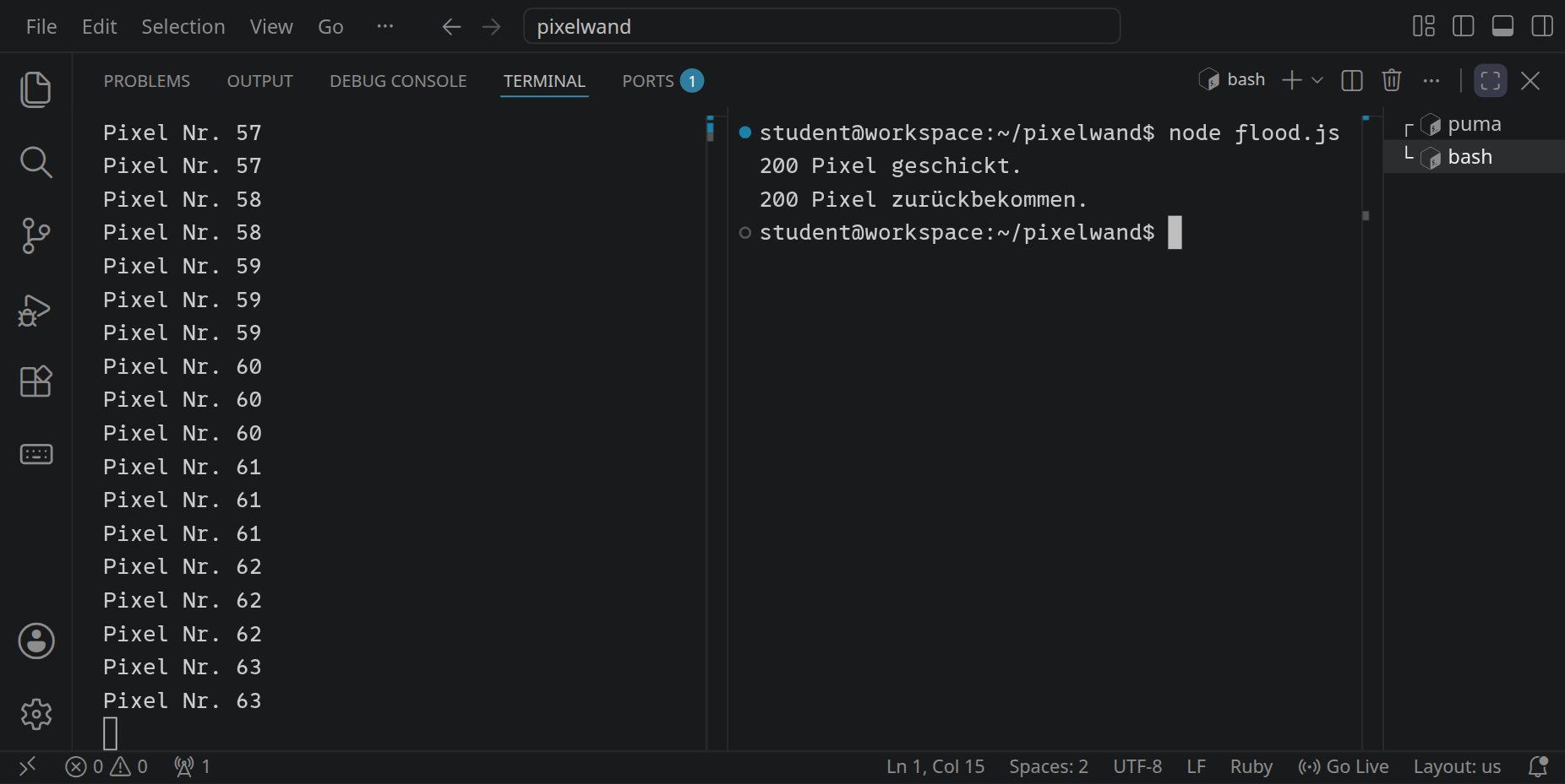 Links zählt der Server, aber am Ende steht weit weniger als »Pixel Nr. 200«, rechts meldet flood.js »200 Pixel geschickt.« und »200 Pixel zurückbekommen.«