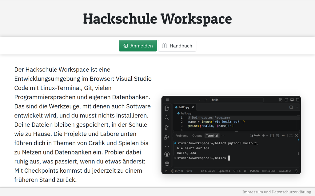 Die Startseite des Workspace mit einem kurzen Text, daneben VS Code mit einem kleinen Python-Programm im Terminal