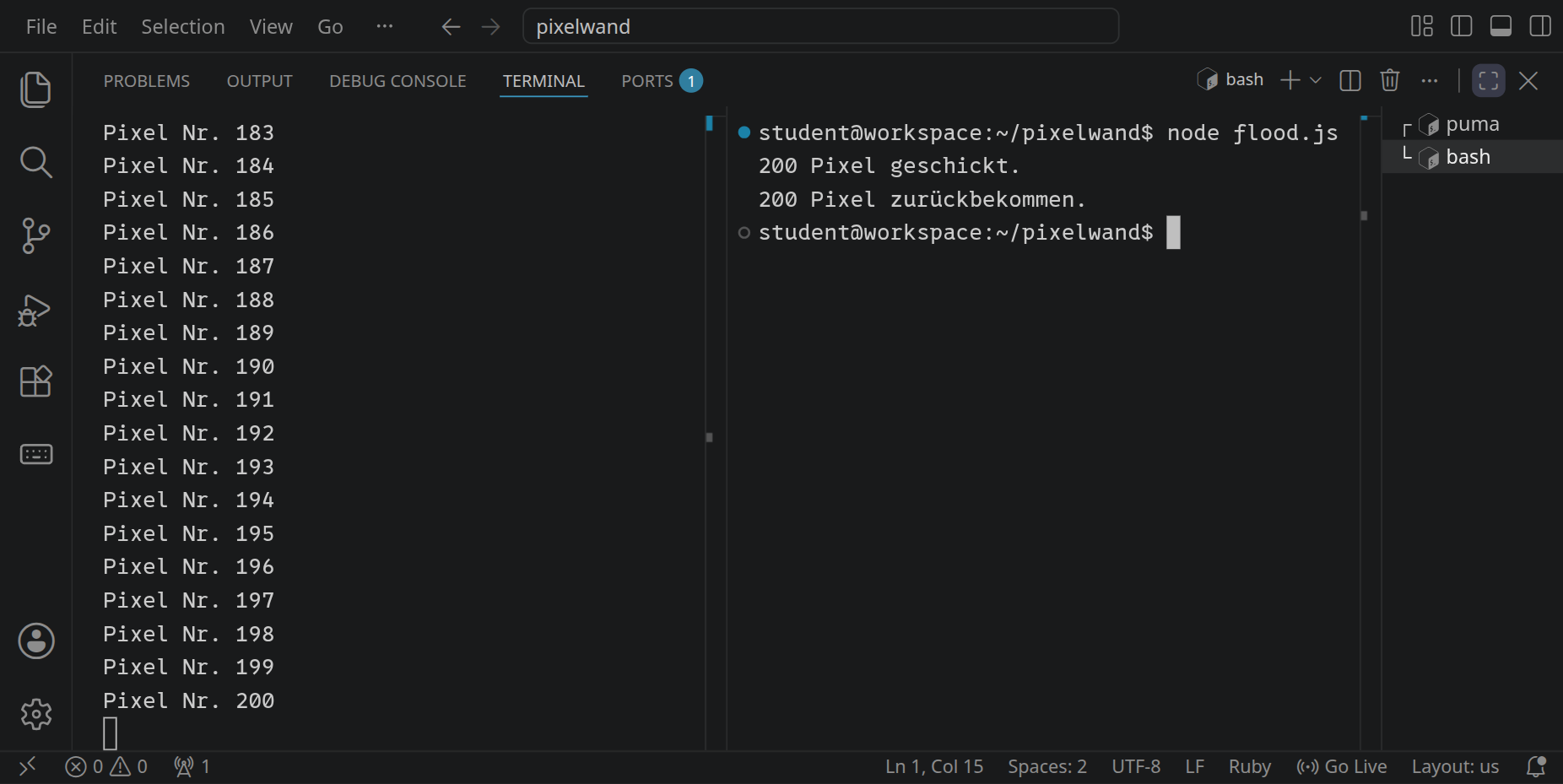 Links zählt der Server bis »Pixel Nr. 200«, rechts meldet flood.js »200 Pixel geschickt.« und »200 Pixel zurückbekommen.«
