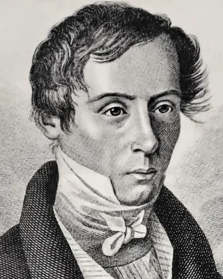 Augustin-Jean Fresnel, Stich: ein junger Mann mit dunklem, wirrem Haar, hohem Kragen und weißer Halsbinde, ernst zum Betrachter blickend.