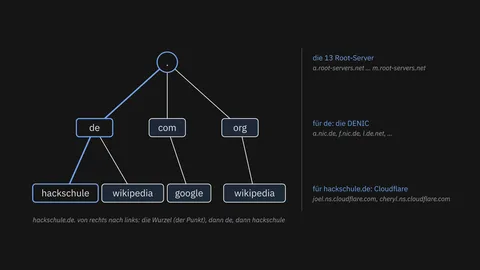 Ein Baum der Domainnamen: die Wurzel, darunter de, com und org, darunter hackschule, wikipedia und google