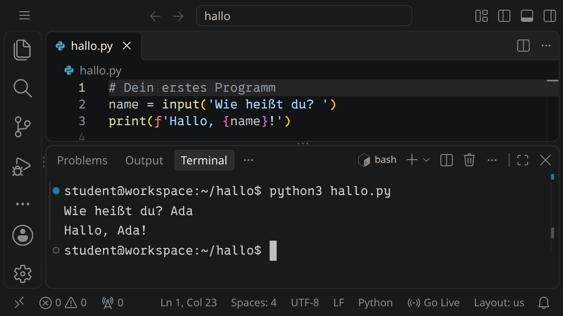 Der Workspace: oben im Editor ein kurzes Programm, das nach dem Namen fragt, unten im Terminal sein Lauf: Hallo, Ada!