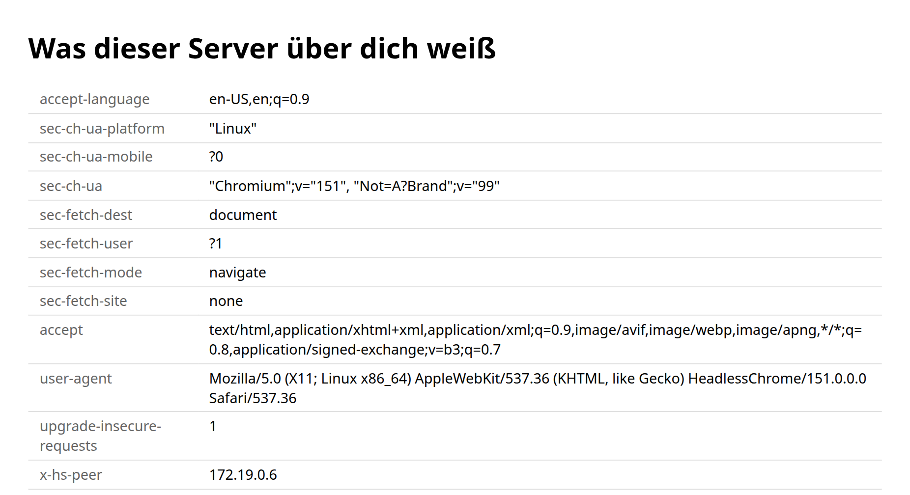 Im Browser die Seite »Was dieser Server über dich weiß«: eine Tabelle mit den Headern der Anfrage, darunter host, user-agent mit Browser und Betriebssystem, accept, accept-language und accept-encoding.
